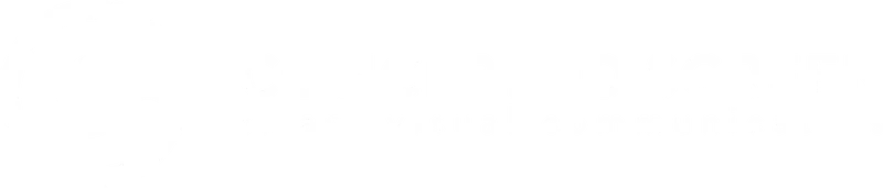 Concept to Screen